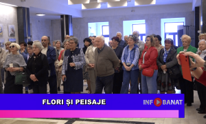 Flori și peisaje