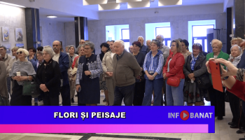 Flori și peisaje