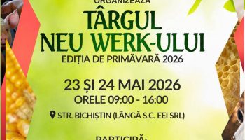 Târgul Neu Werk-ului