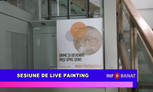 Sesiune de live painting