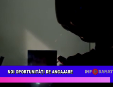 Noi oportunități de angajare
