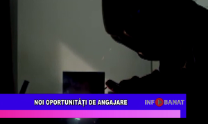 Noi oportunități de angajare