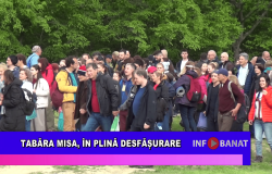 Tabăra MISA, în plină desfășurare