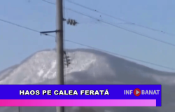Haos pe calea ferată