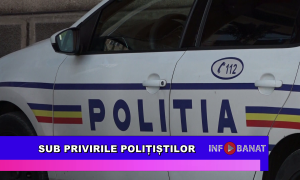 Sub privirile polițiștilor