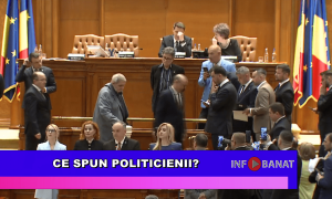 Ce spun politicienii?