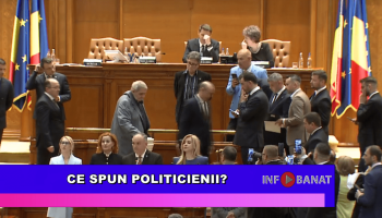 Ce spun politicienii?