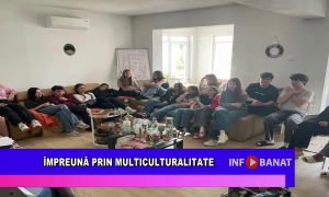 Împreună prin multiculturalitate