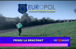 Prinși la braconat