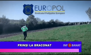 Prinși la braconat