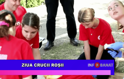 Ziua Crucii Roșii