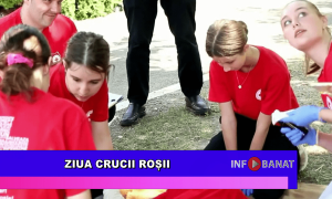 Ziua Crucii Roșii