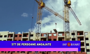577 de persoane angajate