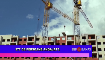 577 de persoane angajate