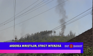 Arderea miriștilor, strict interzisă
