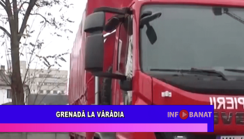 Grenadă la Vărădia