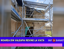 Moarea din Valeapai revine la viață