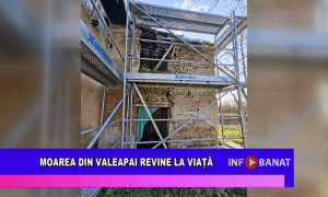 Moarea din Valeapai revine la viață