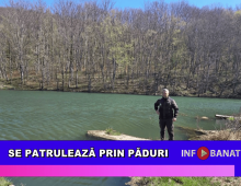 Se patrulează prin păduri