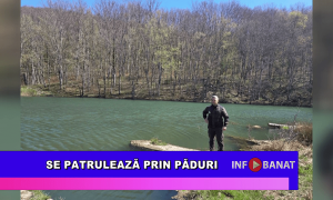 Se patrulează prin păduri