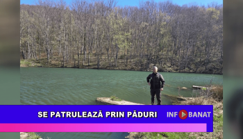 Se patrulează prin păduri