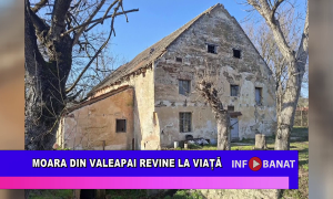 Moara din Valeapai revine la viață
