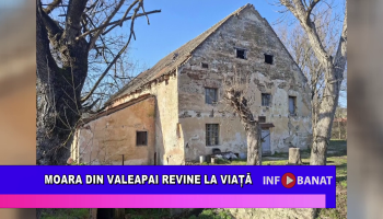 Moara din Valeapai revine la viață