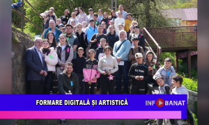 Formare digitală și artistică