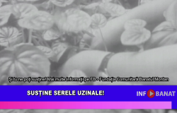Susține Serele Uzinale