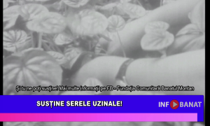 Susține Serele Uzinale