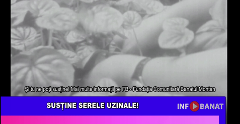 Susține Serele Uzinale