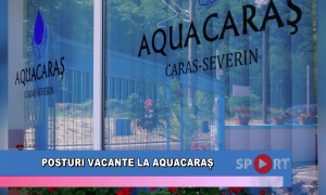 Posturi vacante la AquaCaraș