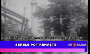 Serele pot renaște