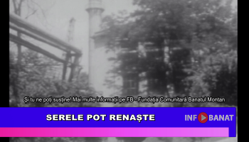 Serele pot renaște