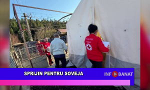 Sprijin pentru Soveja