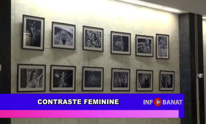 Contraste feminine