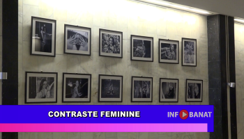 Contraste feminine