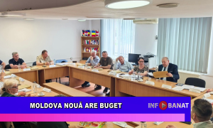 Moldova Nouă are buget