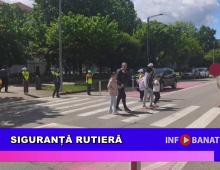 Siguranță rutieră