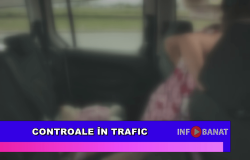 Controale în trafic