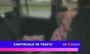 Controale în trafic
