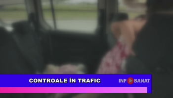 Controale în trafic