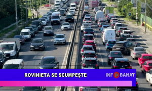 Rovinieta se scumpește