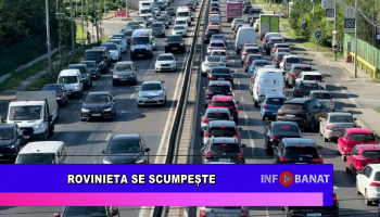 Rovinieta se scumpește