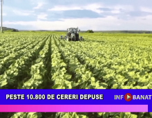 Peste 10.800 de cereri depuse