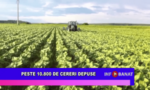 Peste 10.800 de cereri depuse