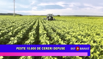 Peste 10.800 de cereri depuse