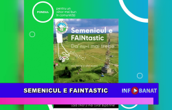 Semenicul e FAINtastic