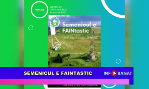 Semenicul e FAINtastic