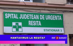 Hantavirus la Reșița?